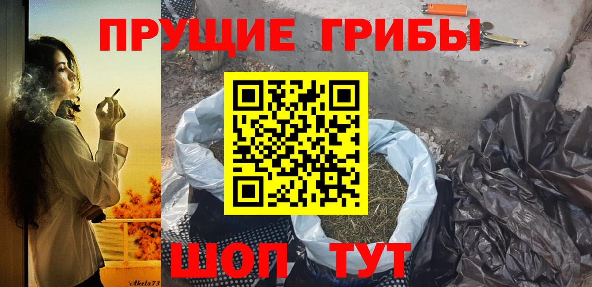 Псилоцибиновые грибы мухоморы Обнинск